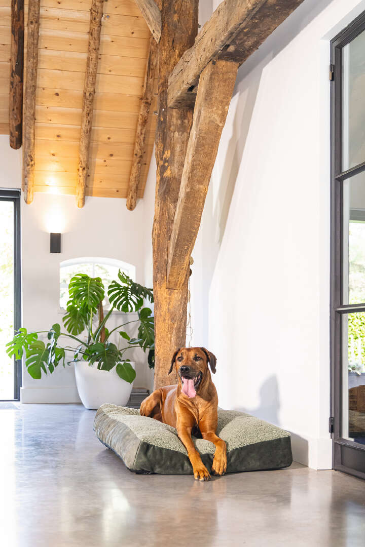 Designed by Lotte Hundekissen Yndis